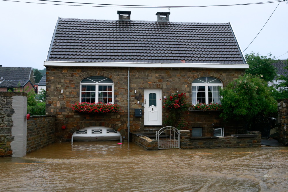 关于比利时遭遇打击,返程望弥补失分损失的信息 关于比利时遭遇打击,返程望弥补失分损失的信息