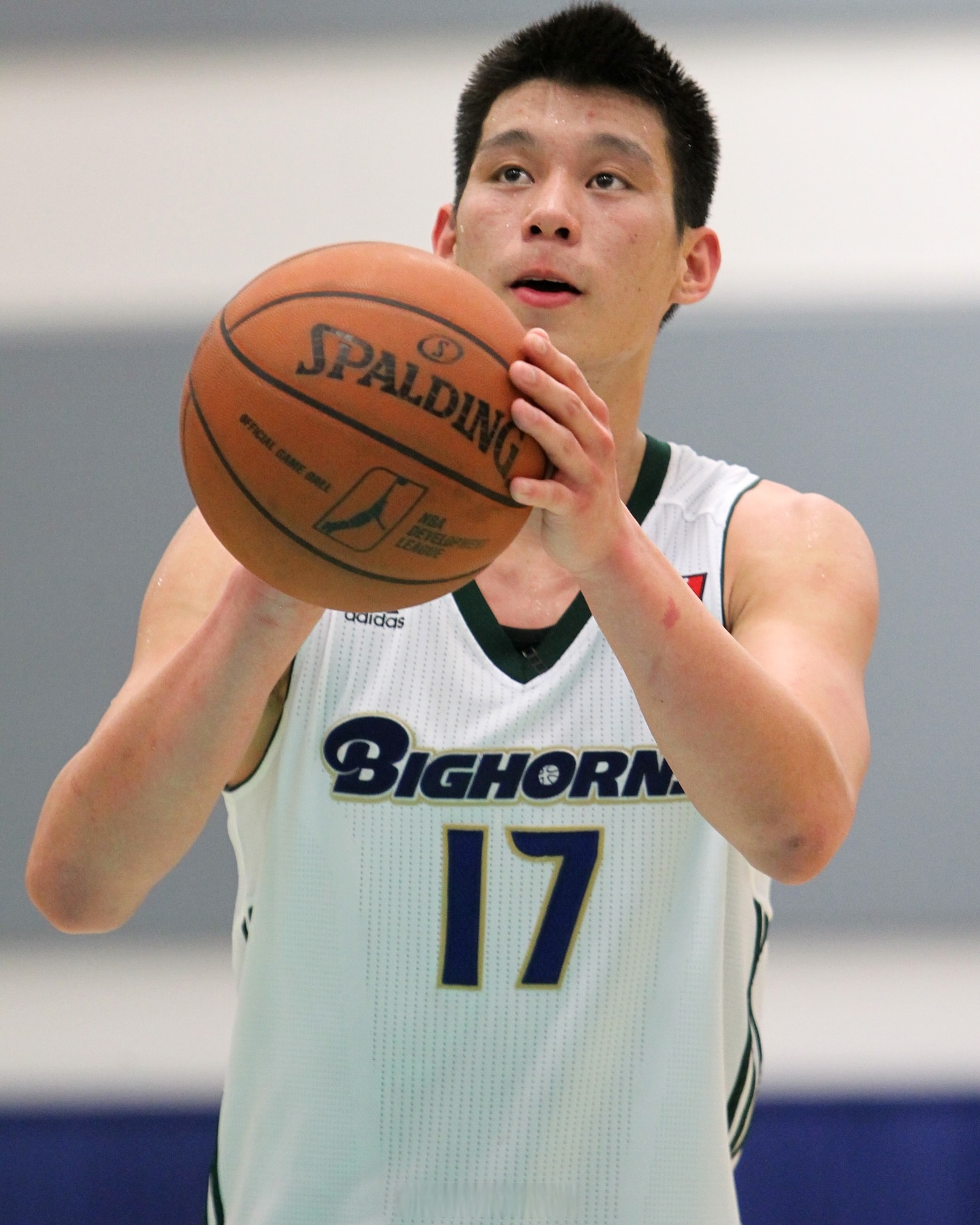 包含老鹰主帅林书豪表示球队需要更多内线球员来增强防守能力的词条